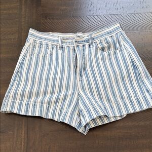 American Eagle Outfitters Blue and White Striped Jean Shorts